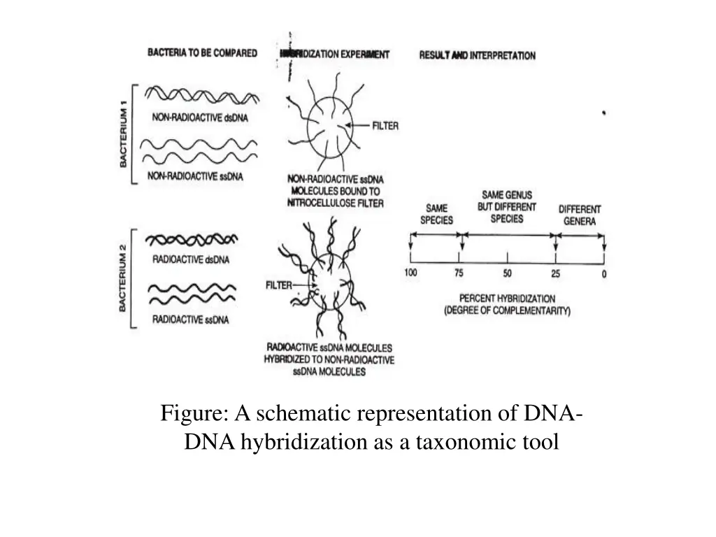 figure a schematic representation