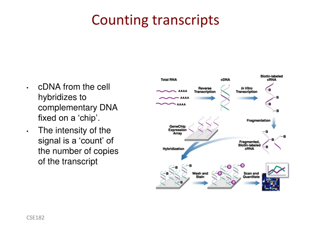 counting transcripts