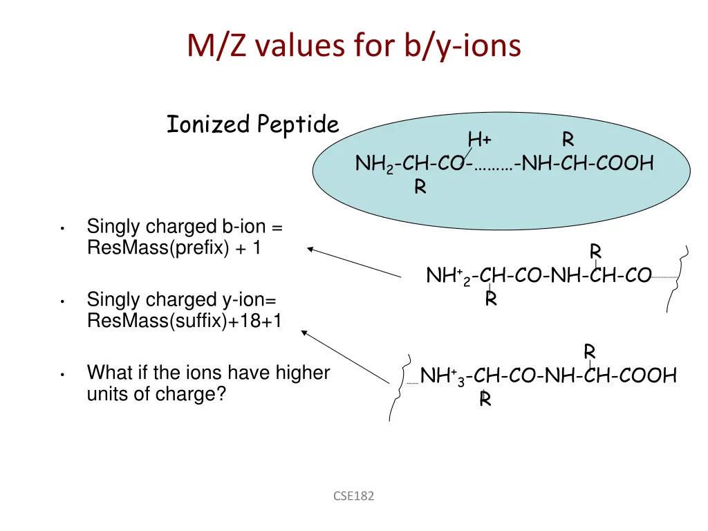 m z values for b y ions