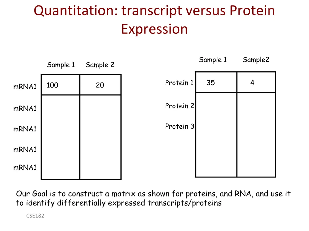 quantitation transcript versus protein expression