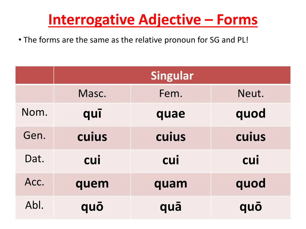 interrogative adjective forms 5