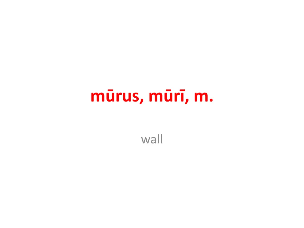 m rus m r m