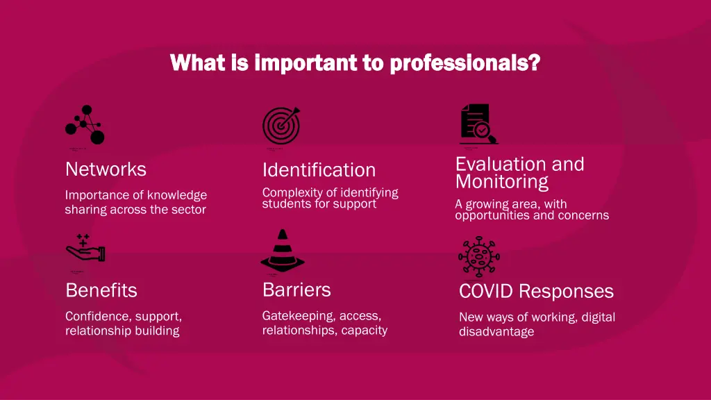 what is important to professionals what