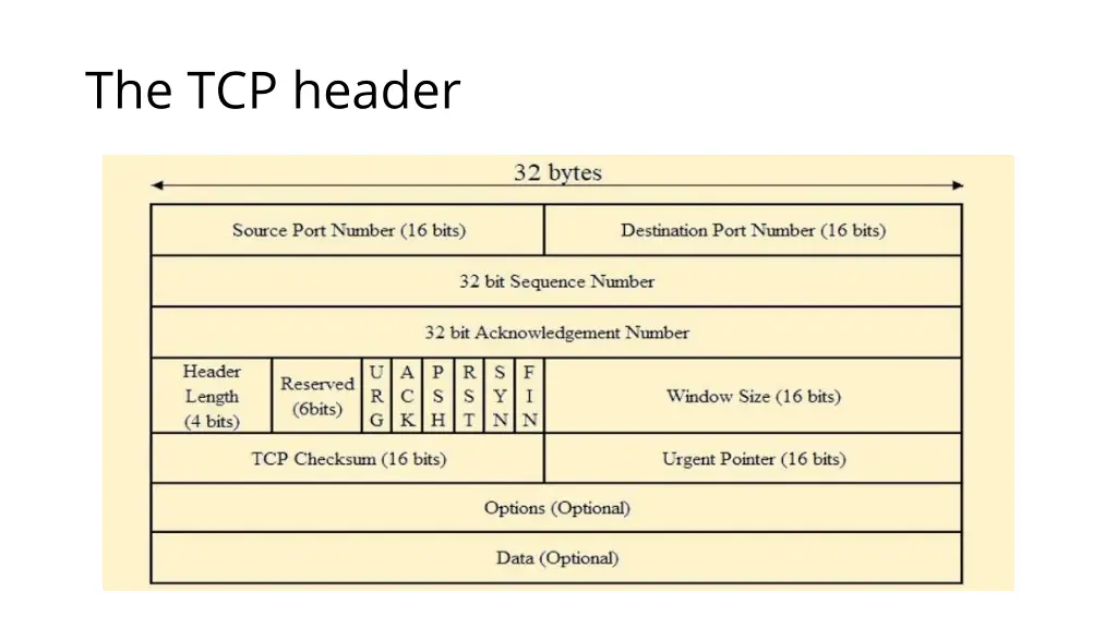the tcp header