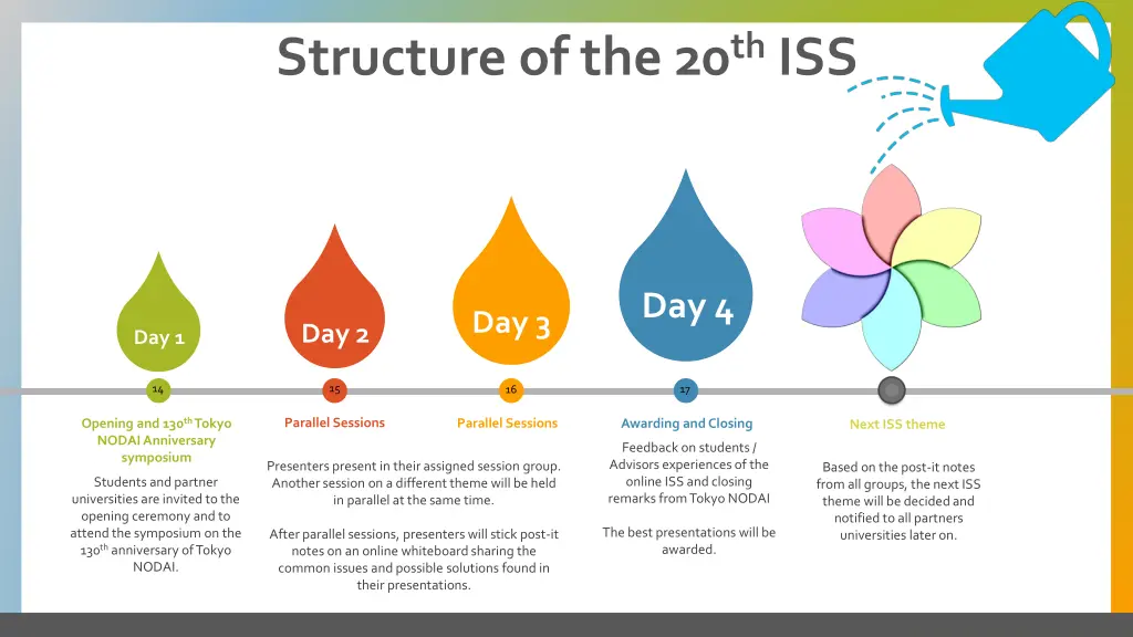 structure of the 20 th iss