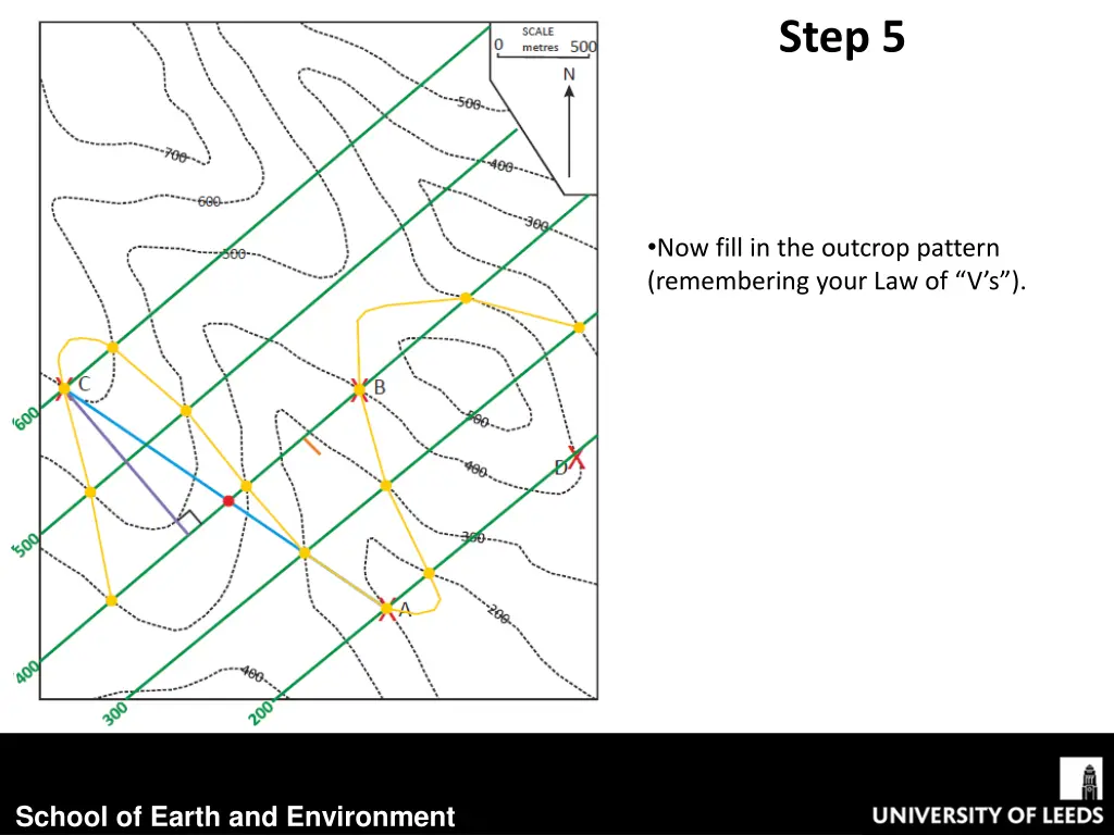step 5 3