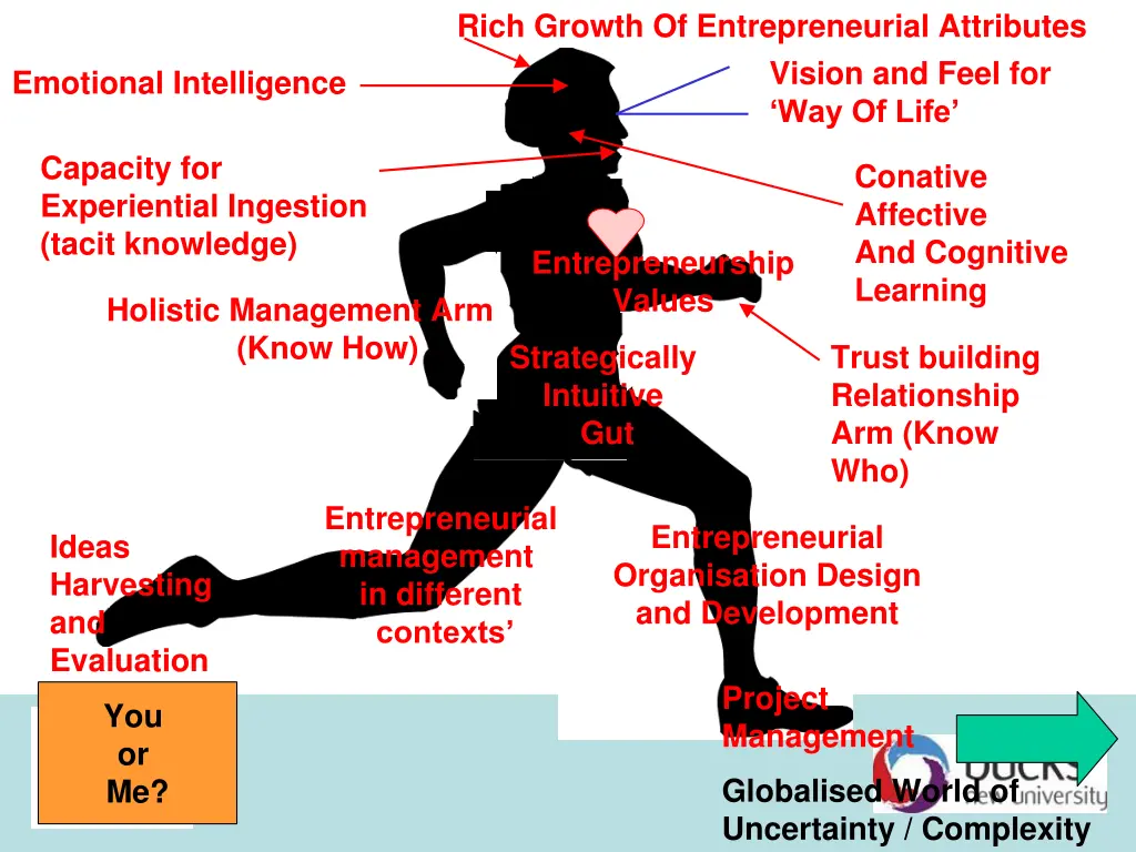 rich growth of entrepreneurial attributes vision