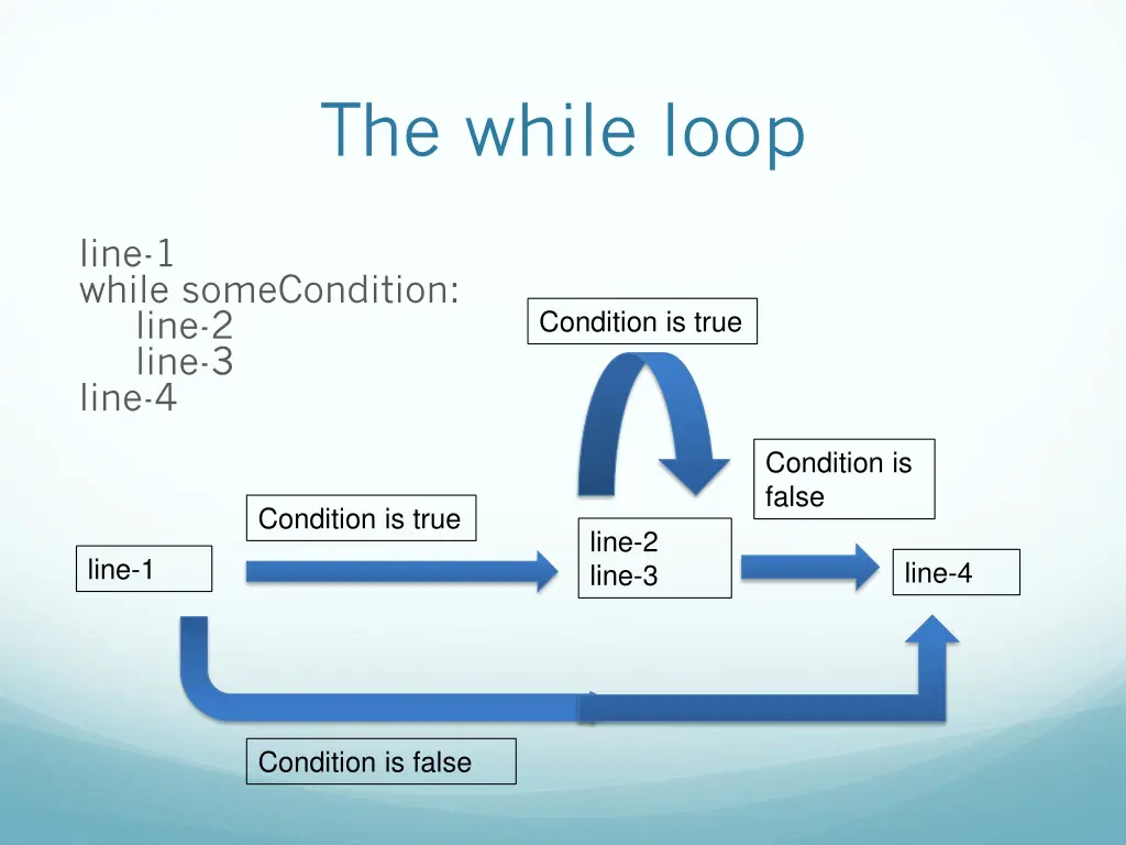 the while loop 1