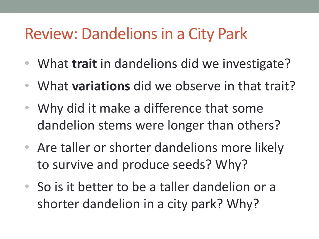 review dandelions in a city park