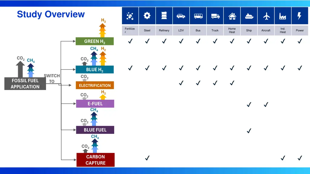 study overview