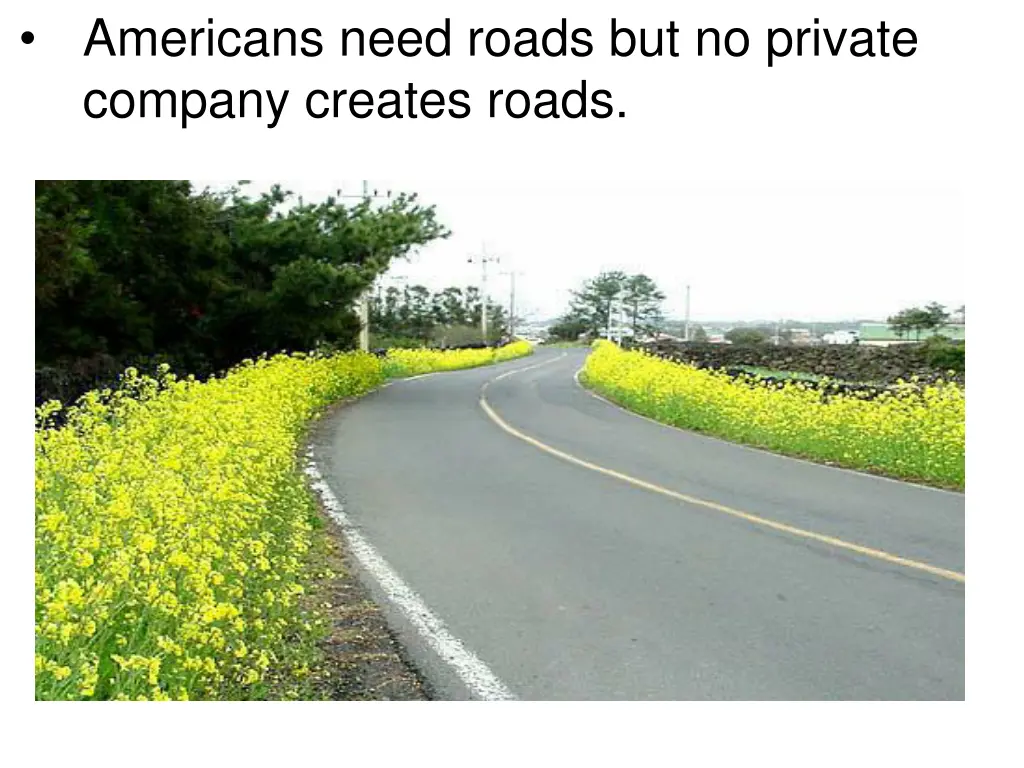 americans need roads but no private company