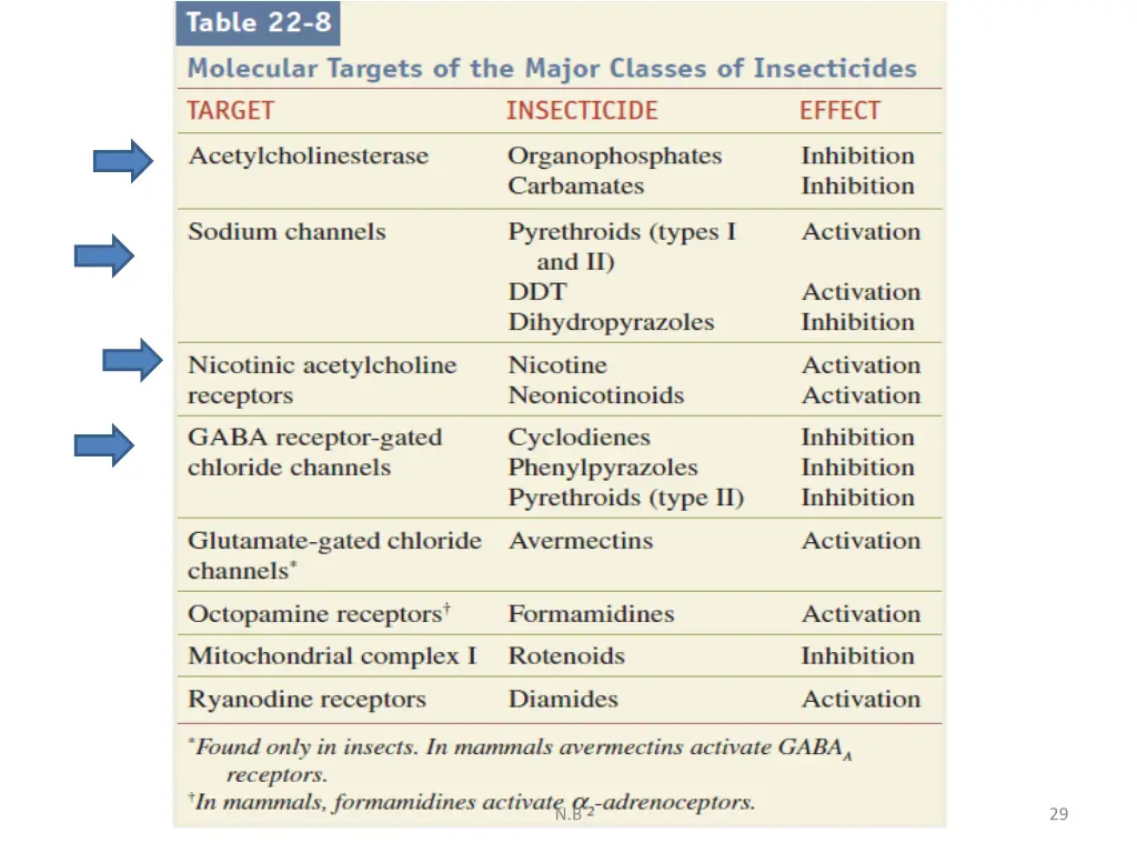 slide29