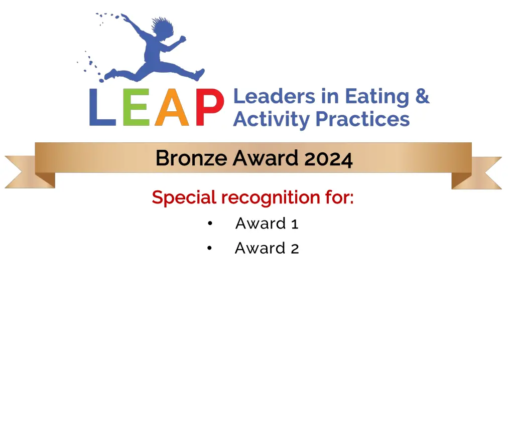 bronze award 2024 bronze award 2024