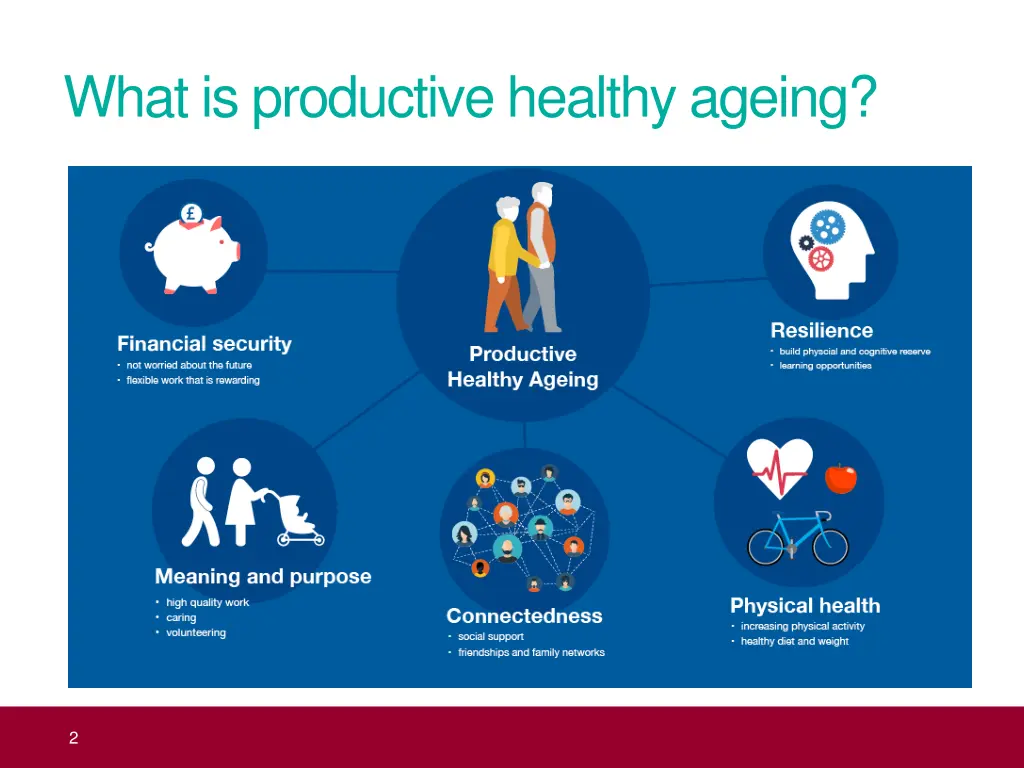 what is productive healthy ageing