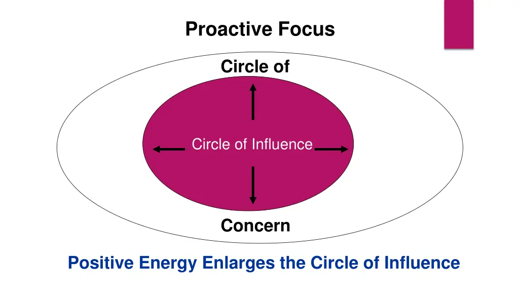 proactive focus 1