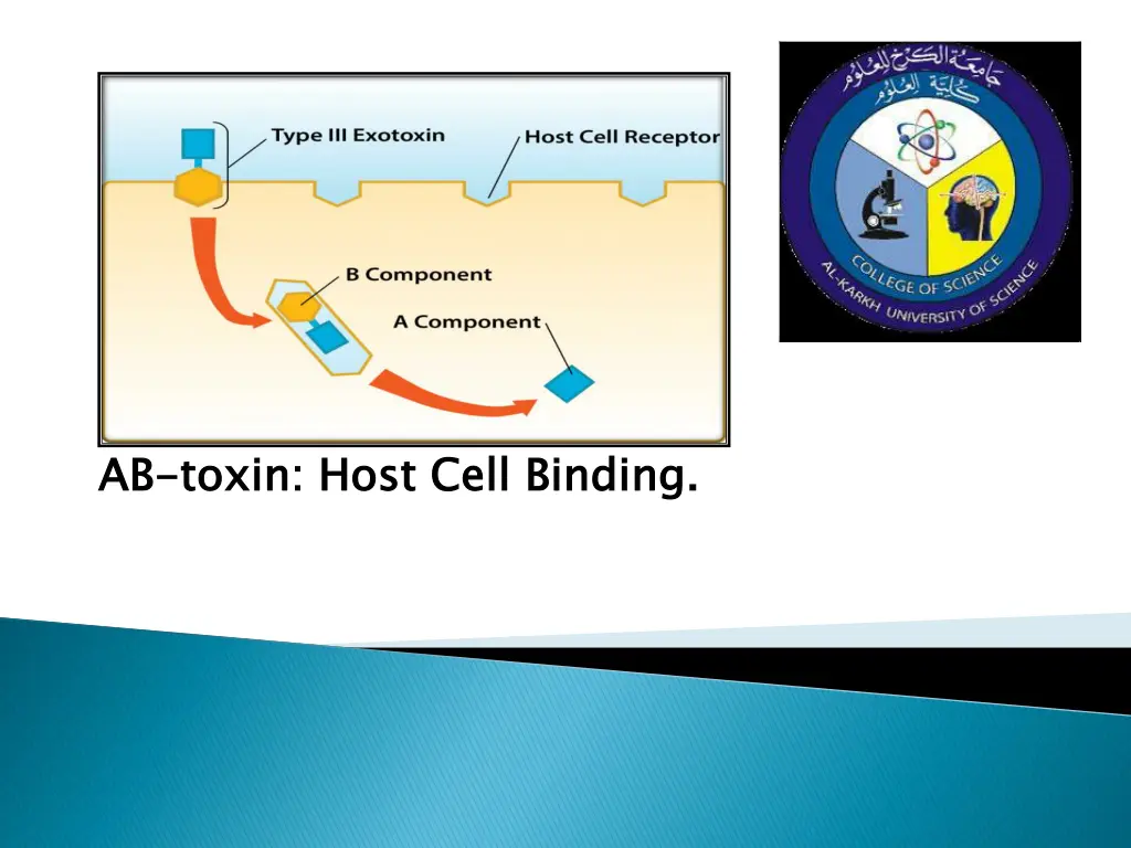slide5