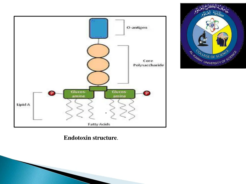 slide8