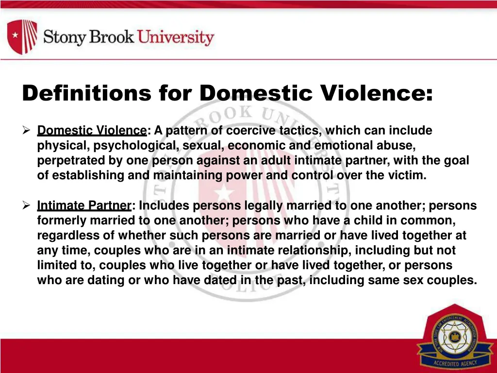 definitions for domestic violence