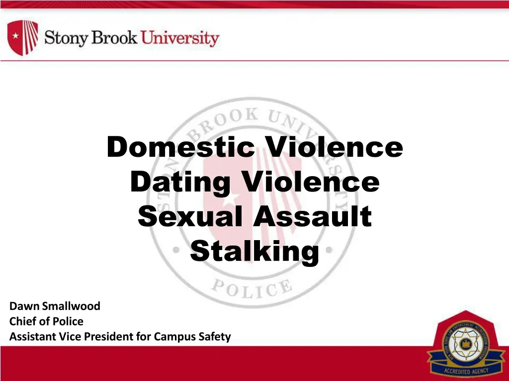domestic violence dating violence sexual assault