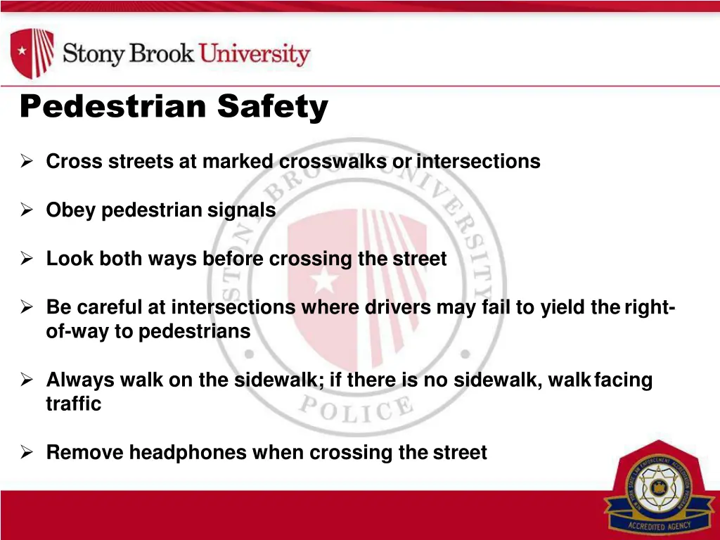 pedestrian safety 1