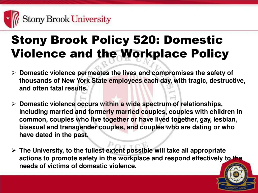 stony brook policy 520 domestic violence