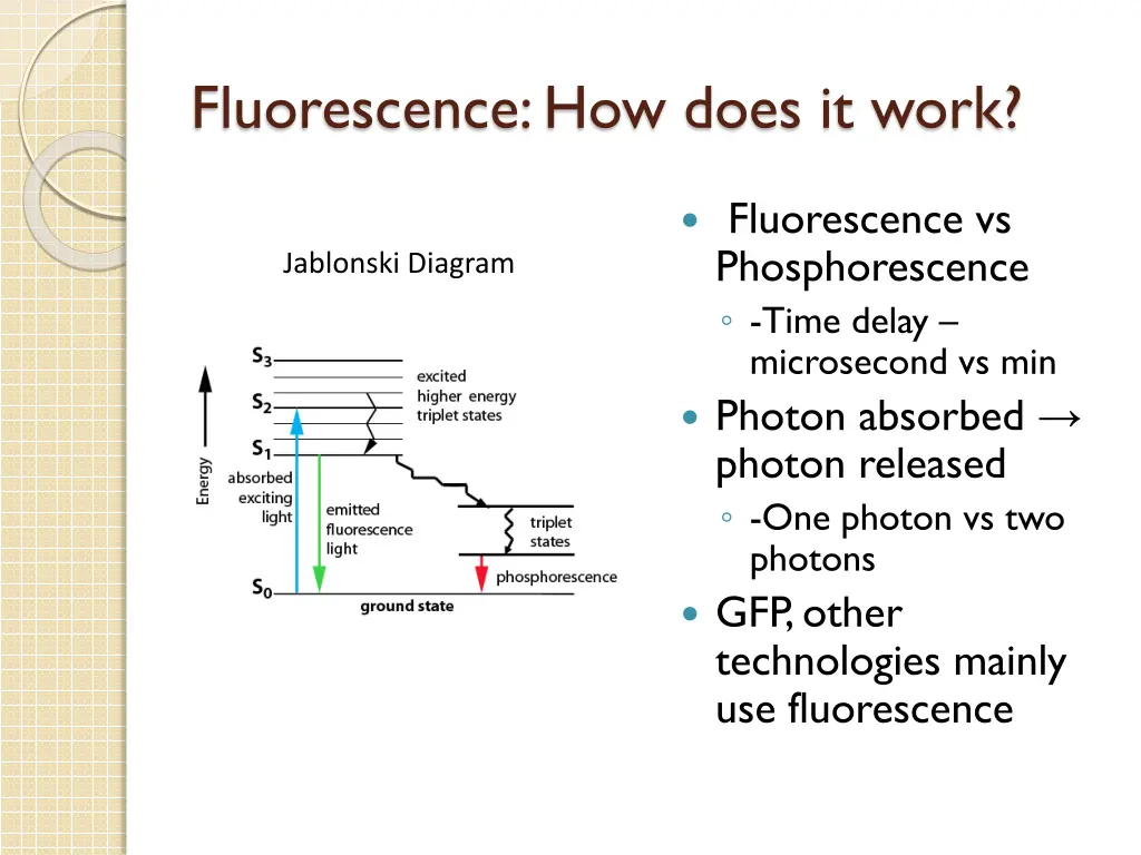 fluorescence how does it work