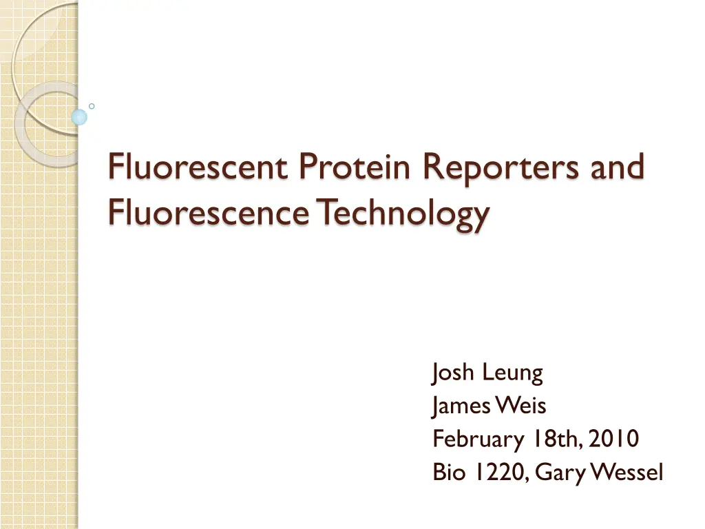fluorescent protein reporters and fluorescence