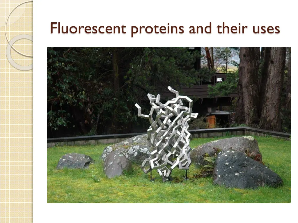 fluorescent proteins and their uses 5