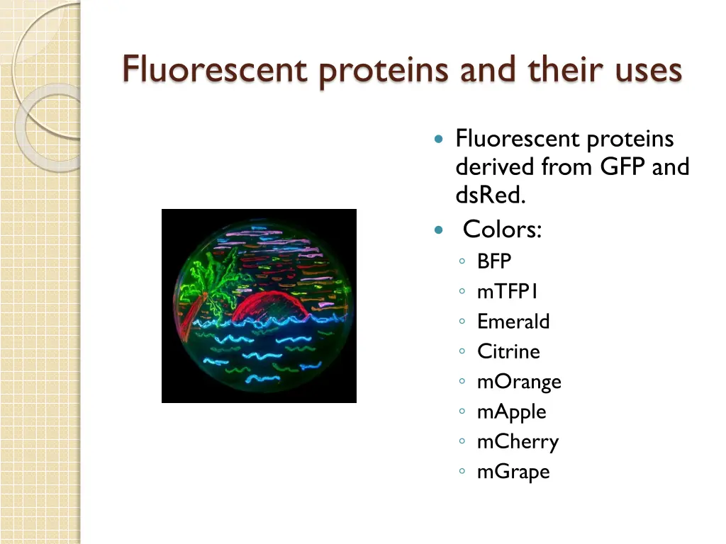 fluorescent proteins and their uses