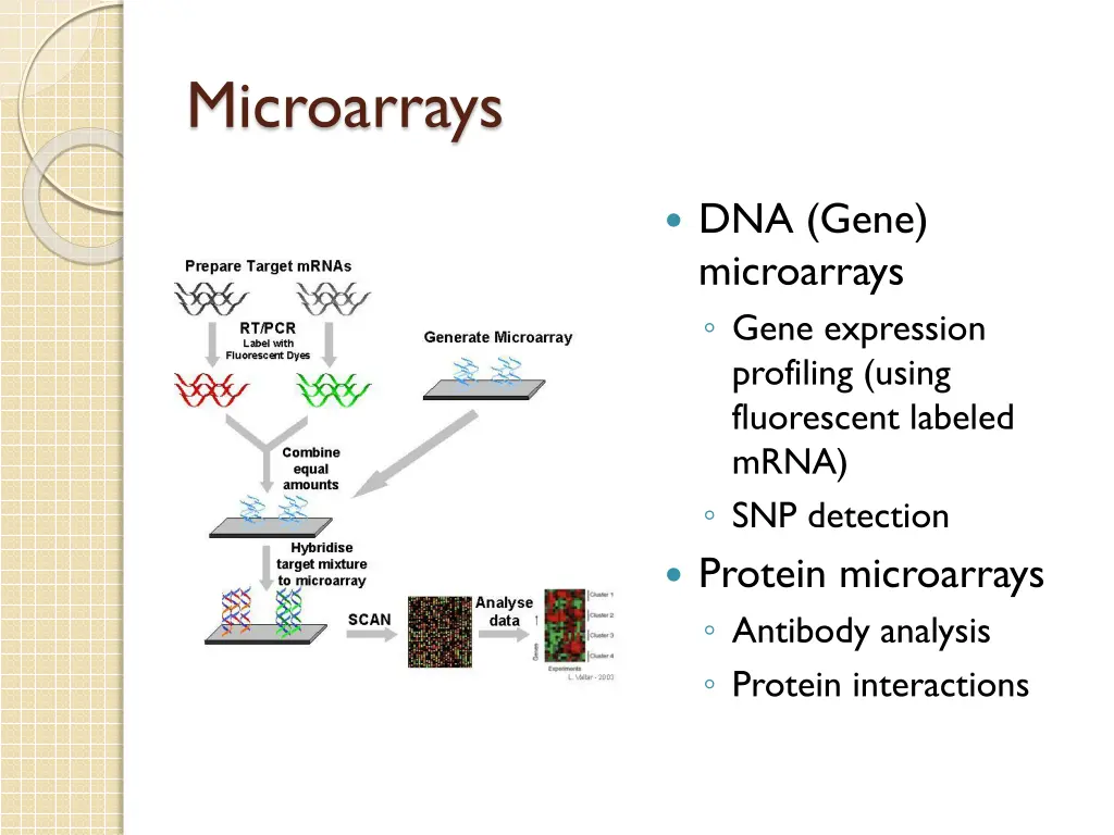 microarrays