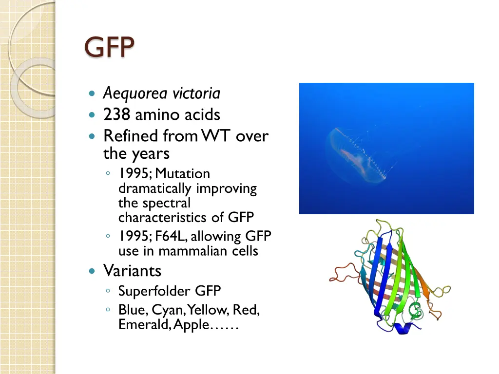 slide17