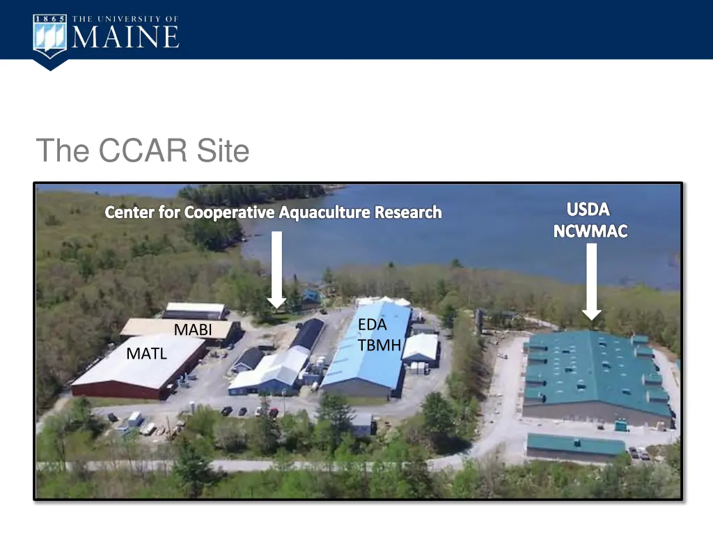 the ccar site