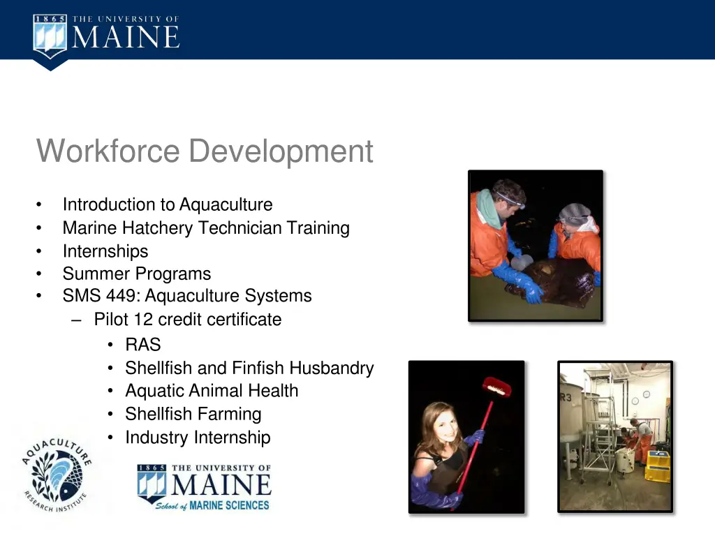 workforce development