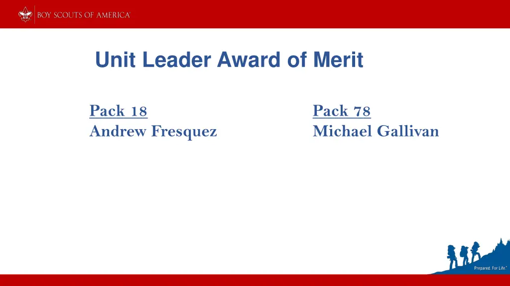 unit leader award of merit
