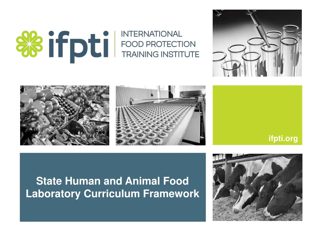 ifpti org