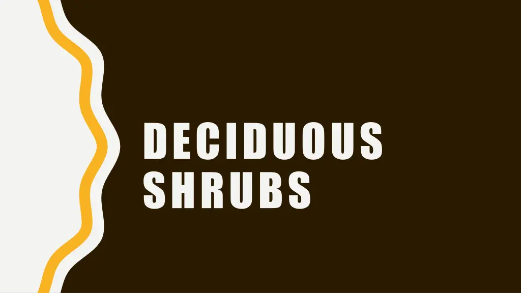 deciduous shrubs