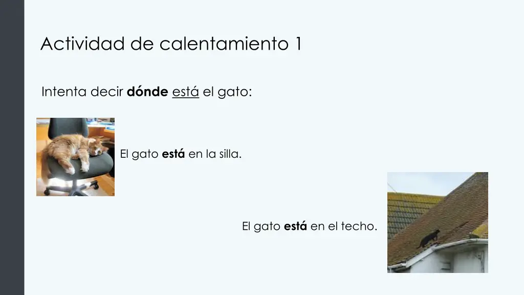 actividad de calentamiento 1