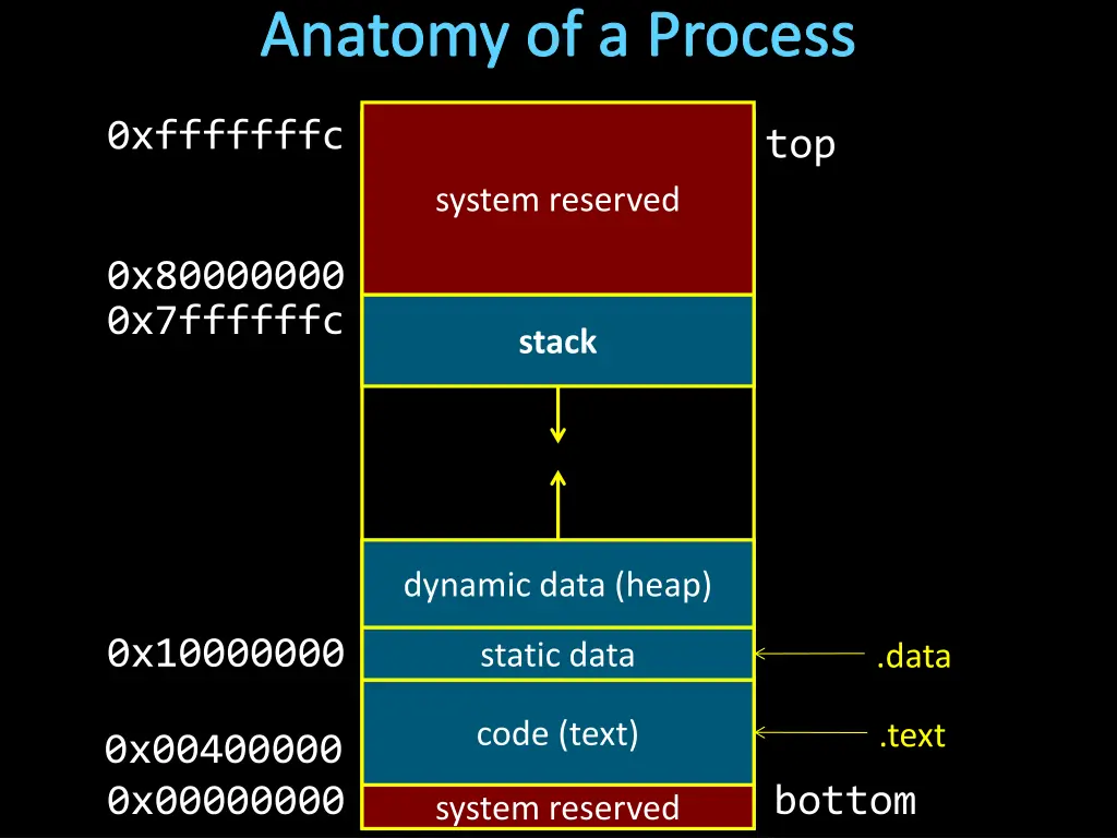 anatomy of a process