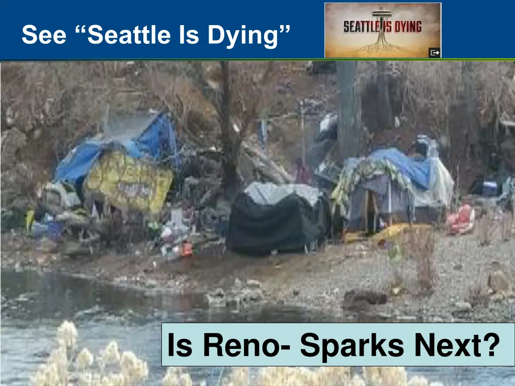 see seattle is dying
