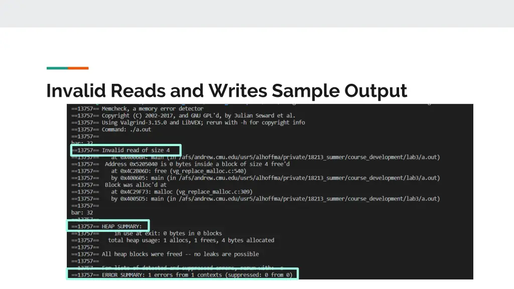 invalid reads and writes sample output