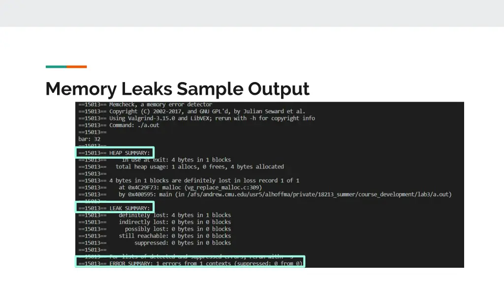memory leaks sample output