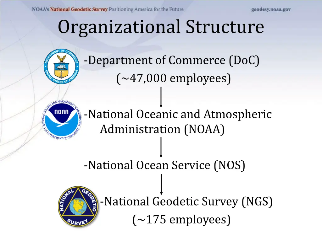 organizational structure