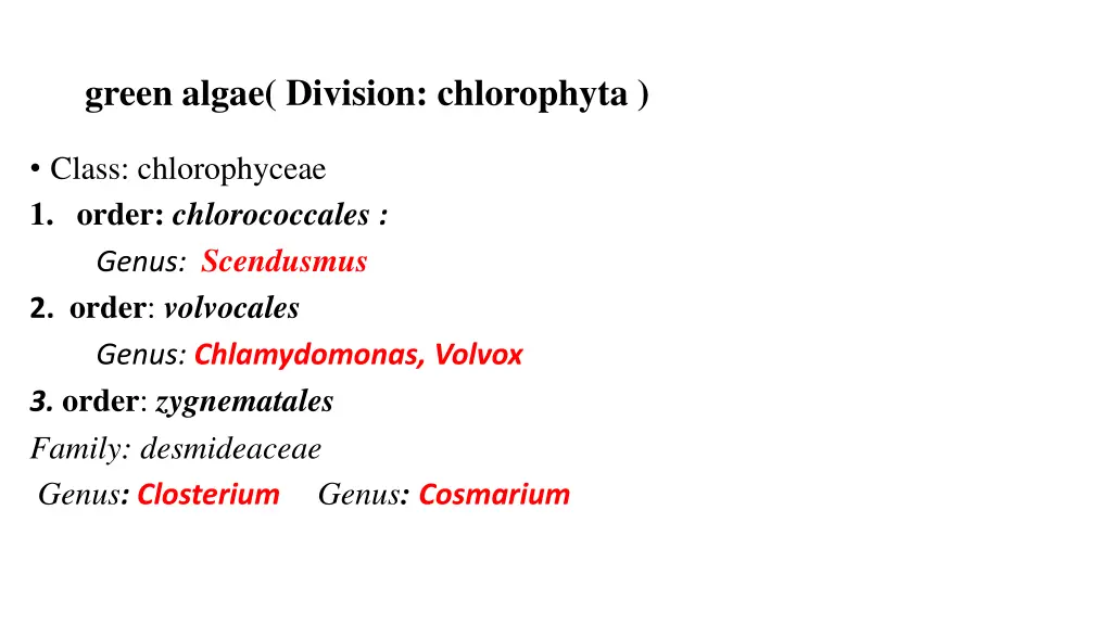green algae division chlorophyta