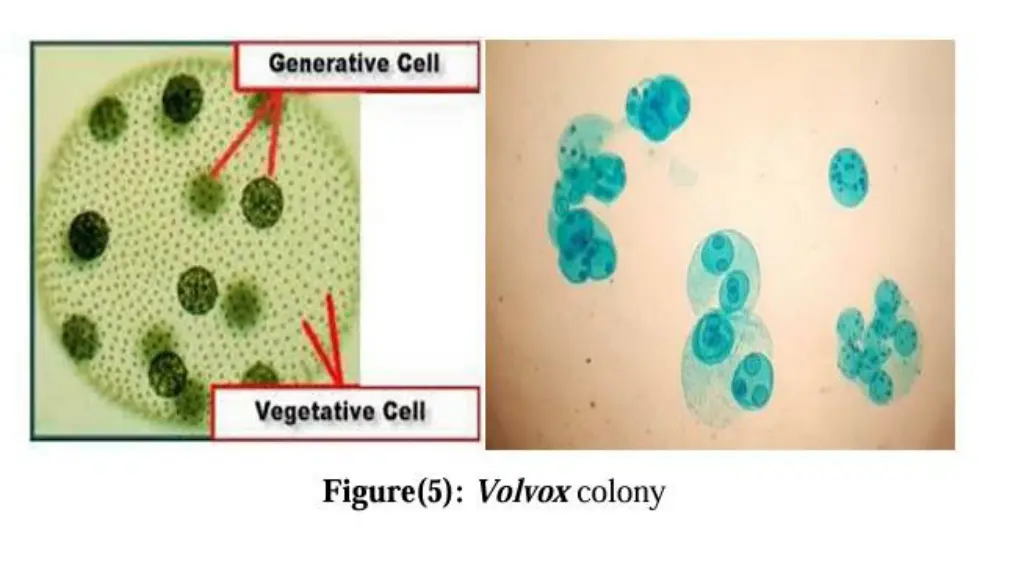 slide5