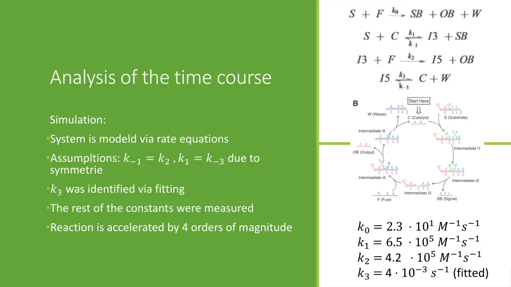 analysis of thetime course
