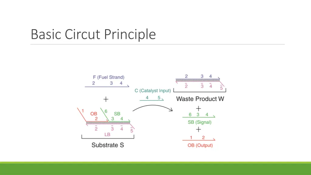 basic circut principle
