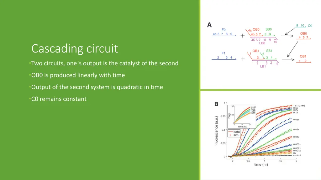 cascading circuit