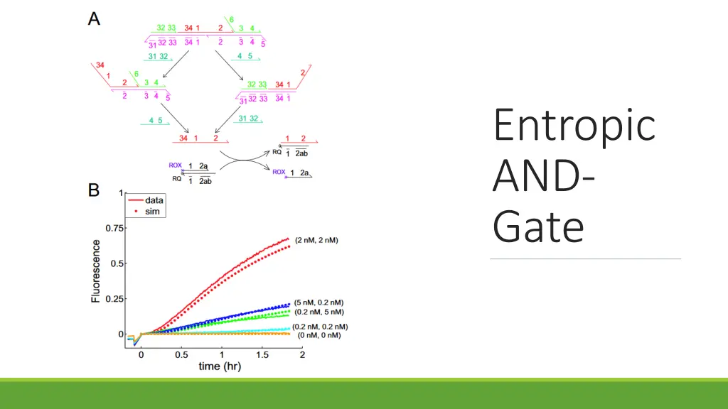 entropic and gate