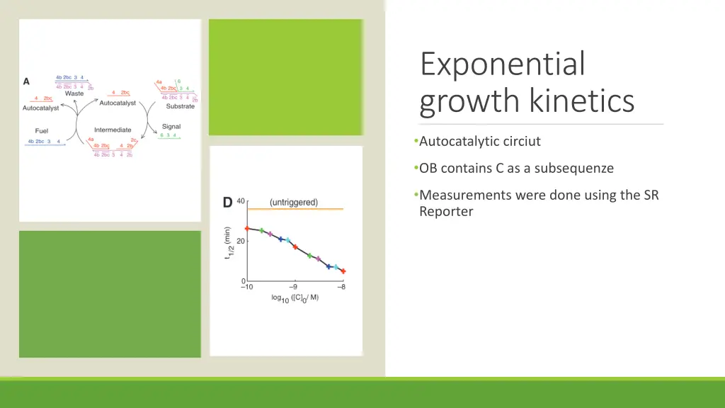 exponential growth kinetics 1