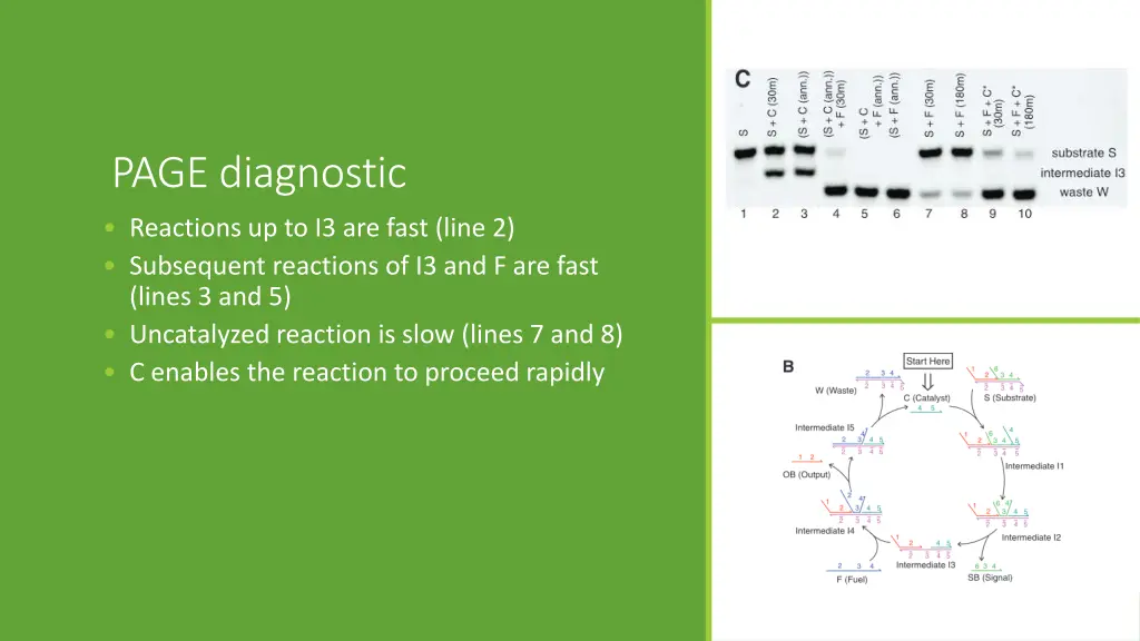 page diagnostic